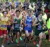 A handful of Mat-Su athletes run with the front of the pack early in the boys varsity race during the George Plumley Invitational Sept. 11 at Palmer High School. Jeremiah Bartz/Frontiersman