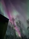 The Northern Lights fill the sky above a home in Houston Tuesday night. Courtesy of Ryan Taylor