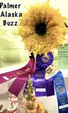 Palmer Buzz