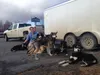 Dr. Julie Stafford smiles for a photo with some sled dogs outside Wasilla Veterinary Clinic, where she’s worked since January. Stafford has been recognized as the winner of the 2016 Next Gene