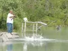 ROBERT DeBERRY/Frontiersman An angler wrestles a salmon to the
shore at Eklutna Tailrace recently. Fishing remains slow at the
tailrace.The Alaska Department of Fish and Game reports moderate