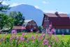 Established in 1948 by Clifton and Vera Grover, the farm has stood for over seven decades as a pillar of family farming in the Matanuska Valley. Courtesy photo