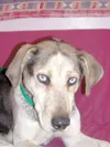 I need a home