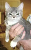 Adopt me! NOW!