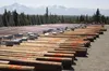 Light poles line the Government Peak Recreation Area parking lot on Friday, May 27, 2016. Some 100 poles will be installed in June to light the Pioneer, Matanuska and Susitna loops in the 8,0