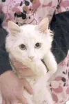 Pet me — you know you want to