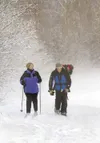Frontiersman file photo Lori Houston and Shelly Jacobs enjoy the
trail around Reflection Lake during the 2007 Winter Family Fun Day
event.