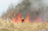 ROBERT DeBERRY/Frontiersman An Alaska Division of Forestry
firefighter stands watch over a wall of flames during a controlled
burn on the Breeden Farm in Wasilla last year. Fire season in the
