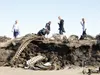 TIFFANY HORVATH/For the Frontiersman Mat-Su Valley teens walk
through a beluga graveyard along the beat of the whaling village of
Wainwright.