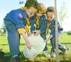 Planting Seeds