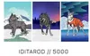 Iditarod5000 Courtesy photo.