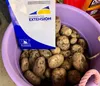 The UAF Matanuska Experiment Farm and Extension Center is hosting a virtual health and wellness series, offering free one hour classes starting Jan. 14. Courtesy photo