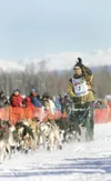 ROBERT DEBERRY/Frontiersman Zack Steer, who also owns and
operates Sheep Mountain Lodge with his wife Anjenette, calls
himself a part-time musher. On Wednesday the part-time musher
posted the