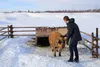A Nugen's Ranch client attends to the onsite pigs. Jacob Mann/Frontiersman