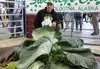 Brian Shunskis stands with his giant cabbage at the Alaska State Fair. Jacob Mann/Frontiersman