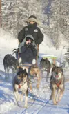 Aimee King holds up a camera as she takes her first sled dog
ride Saturday afternoon at the Mat-Su Borough Animal Care and
Regulation Shelter. The rides were part of a benefit for the
facilit