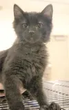 Play with me!