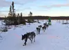 Ryan Redington crosses the finish line on Sunday to win the Aurora 50/50 sled dog race in Big Lake. Redington beat Nicolas Petit of Girdwood by about a half-hour in the two-day race. Photo by