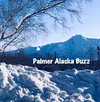 Palmer Buzz