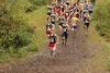 Wasilla sophomore Hunter Hayes leads the pack down an incline during the Region III Championships last week at the Government Peak Recreation Area. Hayes won the Division I boys race. Jeremia