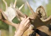 Alaska Wildlife Trooper Lt. Tory Oleck explains what is and is
not considered a legal point on a moose antler. Wildlife officials
were in the Valley Saturday to educate hunters about recogniz