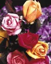 Roses are the most popular choice for Valentine's Day, according
to local florists. While red is the most popular color, other top
choices are pink, yellow and white. Roses take special care 