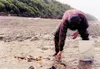A clam digger cleans his harvest near Clam Gulch. Because razor
clams are easily damaged during digging, people must keep all they
pull out of the sand regardless of size. Photo courtesy of J