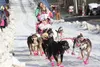 Wearing Bib No. 29 DeeDee Jonrowe of Willow and sled dog team make their way along Cordova Street in Anchorage ceremonial start of the 2015 Iditarod Trail Sled Dog Race. HEATHER A. RESZ/Front
