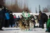 Ryan Redington at the starting line of the 2021 Iditarod. David Poyzer/Iditarod