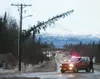 ANDREW WELLNER/Frontiersman This large tree was toppled by high
winds Thursday morning, coming to rest on these power lines.