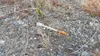A discarded syringe lays on the ground in Wonderland Park in Wasilla in this file photo. Frontiersman file photo