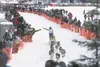 ROBERT DeBERRY/Frontiersman A spectator leans out to high five
Jamaican musher Newton Marshall as he makes his way down the
starting chute during Sunday’s restart of the 2010 Iditarod Trail
S