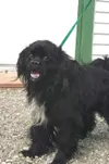 I'm a happy pup (but would be happier with a home)
