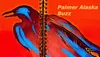 Palmer Buzz