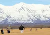 There was extended discussion on Palmer’s airport at last Tuesday’s city council meeting. What weighed heavily on peoples’ minds, in comments made at the Nov. 4 meeting, was the possibility t