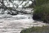 The Matanuska River is an area prone to flooding when heavy rain falls in the Mat-Su Borough. Frontiersman file photo