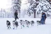 Lisbet Norris runs her dogs down onto Willow Lake Saturday for the Earl Norris Memorial Sled Dog Race, named for her grandfather. The race was also part of the annual Willow Winter Carnival t