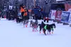 Jeff Deeter, of Fairbanks, follows his team at the start of the 2019 Iditarod Sunday in Willow. Tim Rockey/Frontiersman