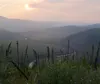 The amount of carbon dioxide reaching the atmosphere from Alaska wildfire smoke each year is, on average, equal to the exhaust of 13 million cars in one year, said Carly Phillips of the Union