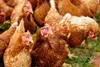 Backyard chickens 1