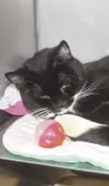 Needs a home