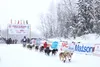 The Iditarod announced the current COVID-19 Vaccine Policy for the 2023 race. Frontiersman file photo