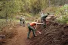 Jayce Tack and Galen Sparks work on a portion of a trail that will be the first Americans with Disabilities Act compliant trail in the Mat-Su Valley at the Government Peak Recreation Area. Ti