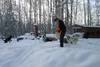 Bjorn Keller feeds his dogs on his family's property. Jacob Mann/Frontiersman