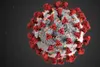 This illustration reveals ultrastructural morphology exhibited by coronaviruses. A novel coronavirus, named Severe Acute Respiratory Syndrome coronavirus 2 was identified as the cause of an o