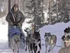 Ramey Smyth climbs a small incline as he moves off of Long Lake
during the restart of the Iditarod Trail Sled Dog Race in Willow.
Smyth finished in second place behind Kotzebue musher John Ba