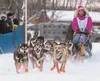 The team of Willow musher and Iditarod veteran DeeDee Jonrowe races out of the starting chute during the 2012 Knik 200 Joe Redington Sr. Memorial Sled Dog Race on Knik Lake. ROBERT DeBERRY/Fr