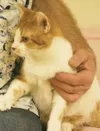 Needs a home
