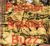 Palmer Buzz