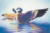 ‘Courtship’ watercolor, by Terry McAnally of Wasilla. Courtesy Terry McAnally